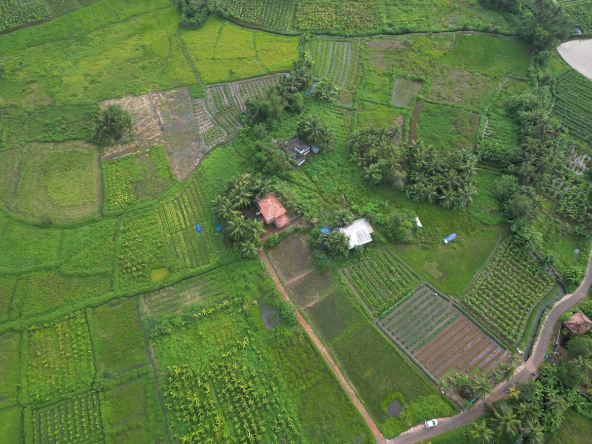 Aerial view of green agricultural parcels and farmland